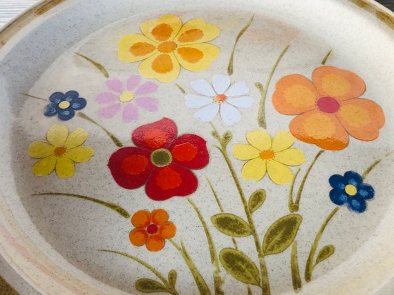 カントリー調 プレート 9枚セット COUNTRYLIFE STONE WARE International China Linda Country Living Stoneware Dinner Plate