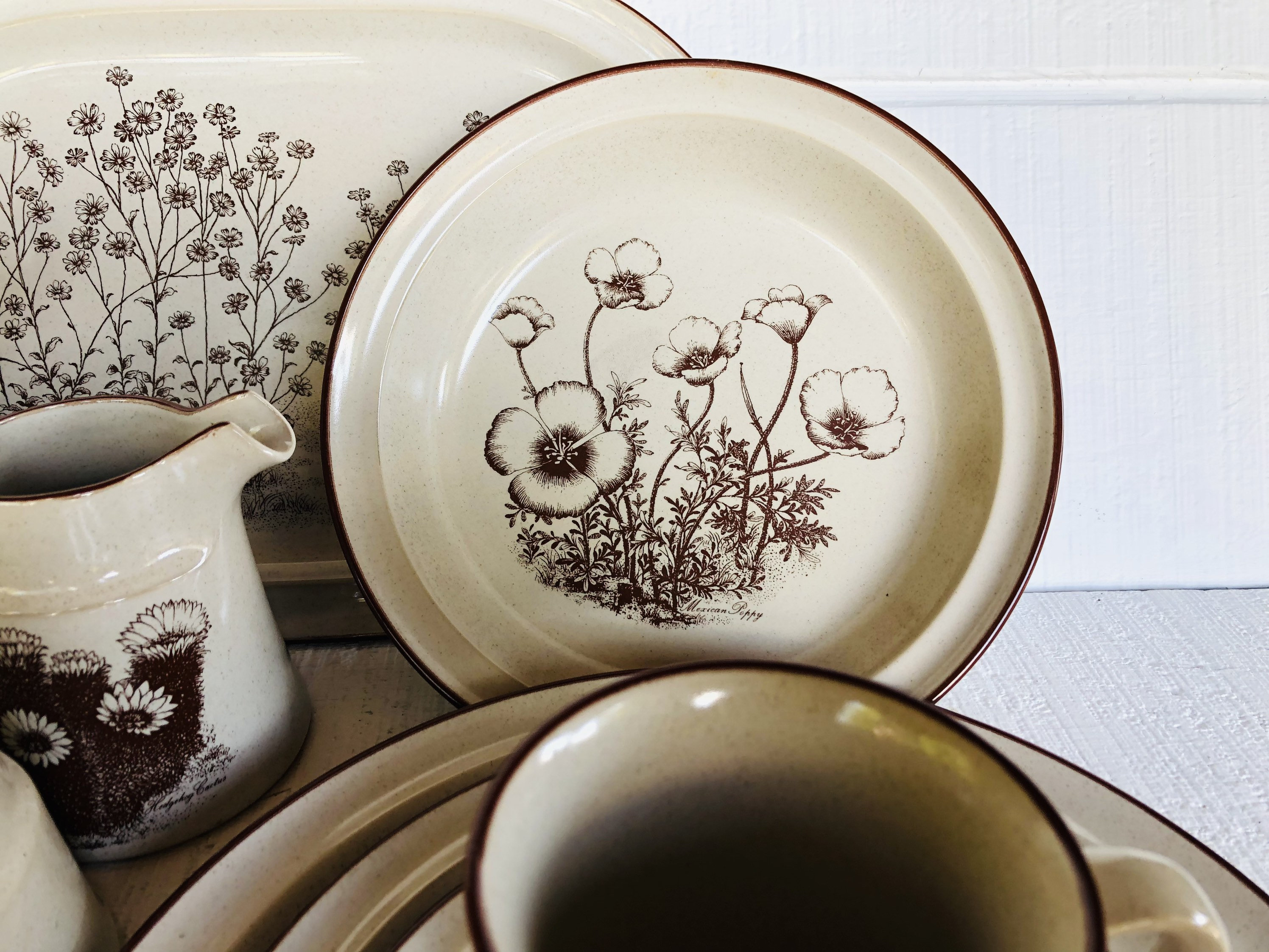 1970s 80s Noritake Stoneware DESERT FLOWERS 8341 Japan Vintage