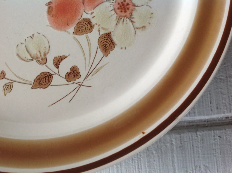6 Retro Stoneware Dinner Plates Water Colors Blush Hearthside Japan brown band floral peach creme stoneware replacements 1970/'s dinnerware
