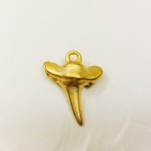 May include: Gold-colored metal shark tooth pendant charm with a loop at the top for attaching to a necklace or bracelet.