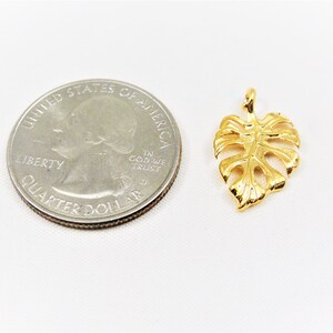 May include: Gold-toned metal charm in the shape of a monstera leaf. The charm is about the size of a US quarter.
