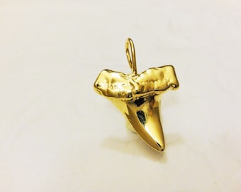 Vermeil, 18k gold over 925 sterling silver shark tooth charm, gold shark tooth, vermeil shark tooth, shark tooth