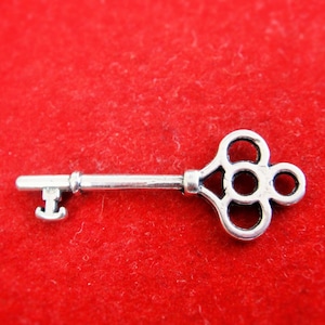 May include: A silver key charm with a decorative, ornate keyhole design. The key is on a red background.