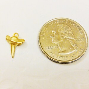 May include: Gold-colored shark tooth pendant charm, shown next to a US quarter for size comparison.