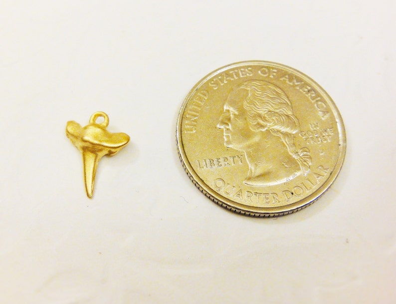 May include: Gold-colored shark tooth pendant charm, shown next to a US quarter for size comparison.