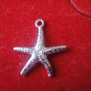 925 Sterling Silber Seestern Charme 1 Stk., Silber Seestern, Seestern Charme, Seestern, Leben im Meer, Silber Seestern Charme, Seestern, Sterncharme