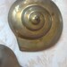 Set Nautical Décor - Pair of Vintage Brass Sea Shells -hang of Wall or ...