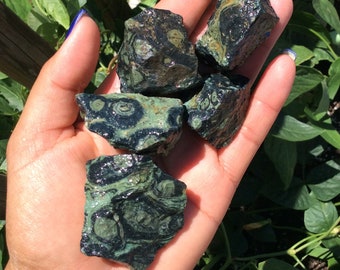 Kambaba Jasper ~ natural Kambaba Jasper, Crocodile Jasper, Rough Kambaba Jasper, raw stone