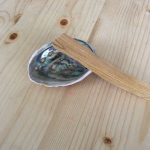 May include: A wooden stick of Palo Santo incense resting on a natural abalone shell. The shell is iridescent with shades of green, blue, and purple.