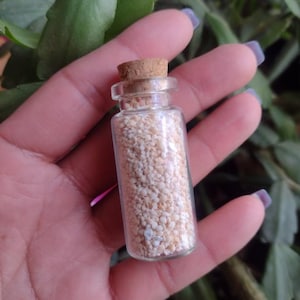 Frasco de arena estrellada de Okinawa, arena con forma de estrella, arena de playa de Japón, arena de sol, arena de conchas fósiles vivientes, rarezas, curiosidades, de origen ético.