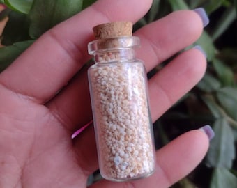 RARE Okinawa Star Sand Jar, star shaped sand, Japan beach sand, sun sand, living fossil shell sand, oddities, curiosities, ethically sourced