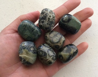 Kambaba Jasper Tumble,  Polished kambaba, Kambaba Stone, Peacock Jasper, Crocodile Jasper