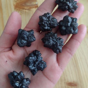 May include: Seven black, star-shaped crystals with a rough, textured surface. The crystals are arranged in a hand.