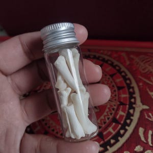May include: A small glass vial with a silver lid filled with several small, white bones. The bones are of varying shapes and sizes. The vial is held in a hand, with a red and gold patterned background.