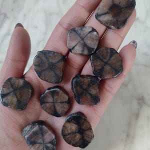 Chiastolite stone slab Andalusite Cross stone slice Grounding Balance Root chakra