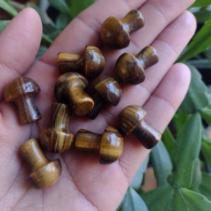 Tiger eye mushroom, crystal mushroom, stone mushroom