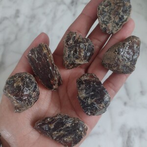 May include: Seven pieces of dark amber, some with a reddish hue, in various shapes and sizes, resting on a hand.