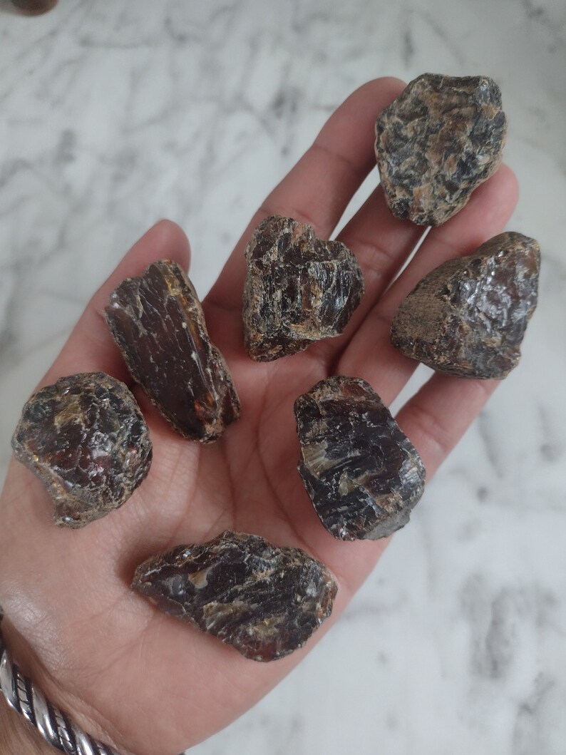 May include: Seven pieces of dark amber, some with a reddish hue, in various shapes and sizes, resting on a hand.