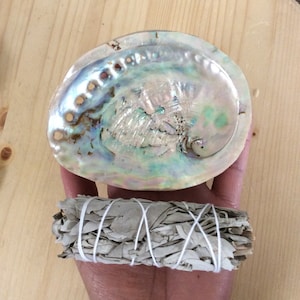 3.5" - 4" Abalone Shell ~ Midae, Smudge Kit, Smudge Shell, Sea Shell, Bohemian Decor, Smudge Tools, Incense Holder, Cleansing, Altar tool