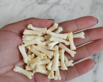 5 PACK Coyote Knuckle bones, throwing bones, oddities, curiosities, ethically sourced, Wicca, hoodoo, santeria, voodoo, bones magick