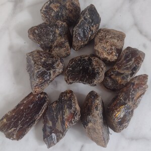May include: A collection of ten dark amber stones with a variety of shapes and sizes. The stones have a rough, natural texture and a deep, rich color.