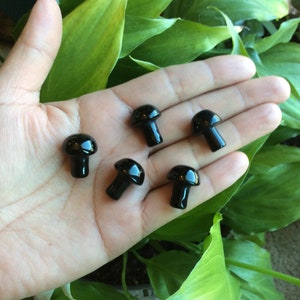 Obsidian mushroom, crystal mushroom, stone mushroom