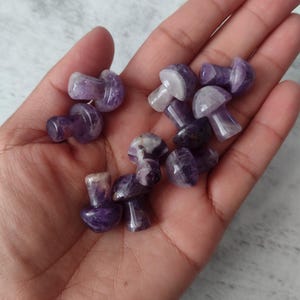 Amethyst mushroom, crystal mushroom, stone mushroom