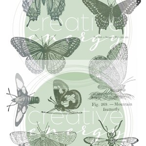 Clipart de borboletas e abelhas, ilustrações vintage. 18 imagens para imprimir/recortar ou editar usando CANVA para diário, artesanato em papel e muito mais.