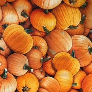 Pumpkins Galore fabric 44&quot; cotton