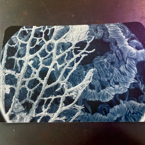 May include: A close-up of a blue and white abstract design. The design features a delicate, intricate pattern of lines and swirls.