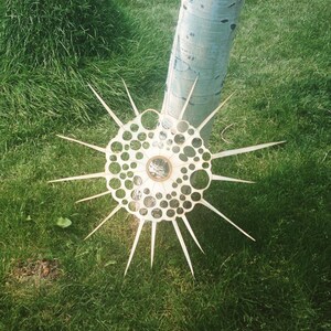 Giant lasercut heliozoa plankton wall art