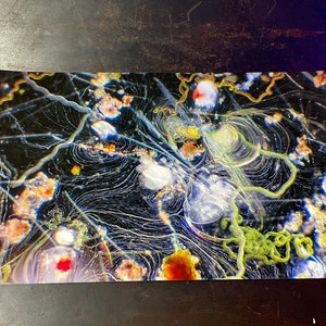 Plankton Painting: Rotifer currents Timelapse microscopy chronophotography 11x19 archival print zooplankton algae