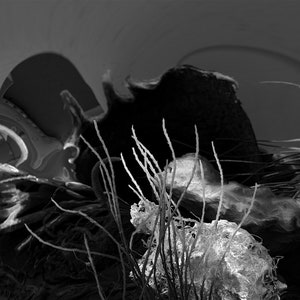 Art print: Beach themed electron microscope landscape (biology, STEM, science and art)