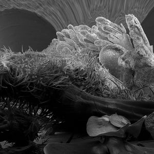 Electron microscope landscape print: 'Microsculpture 61 #2