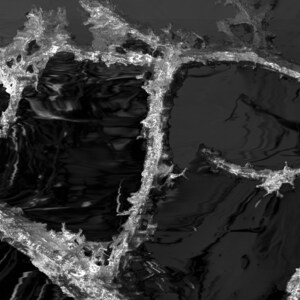 May include: Monochrome abstract image showing a textured, crystalline formation. The design is a network of interconnected shapes, set against a reflective, rippled background. The image creates a contrast of textures and tones, with a focus on detail.