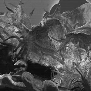 May include: A close-up black and white image of a plant's surface, showing intricate details of the plant's structure. The surface is covered in small, spiky hairs and appears to be very rough.