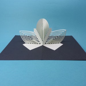 Carte pop-up architecture origamic Felsenblume