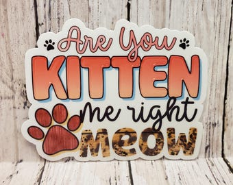 ノートパソコンやタンブラー用の「Are You Kitten Me Right」ニャーステッカー