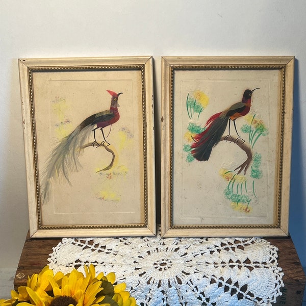 Vintage Framed Bird Feather Art Pictures, Art Deco, Mid-Century Decor, Real Feathers, Set of 2 Pictures