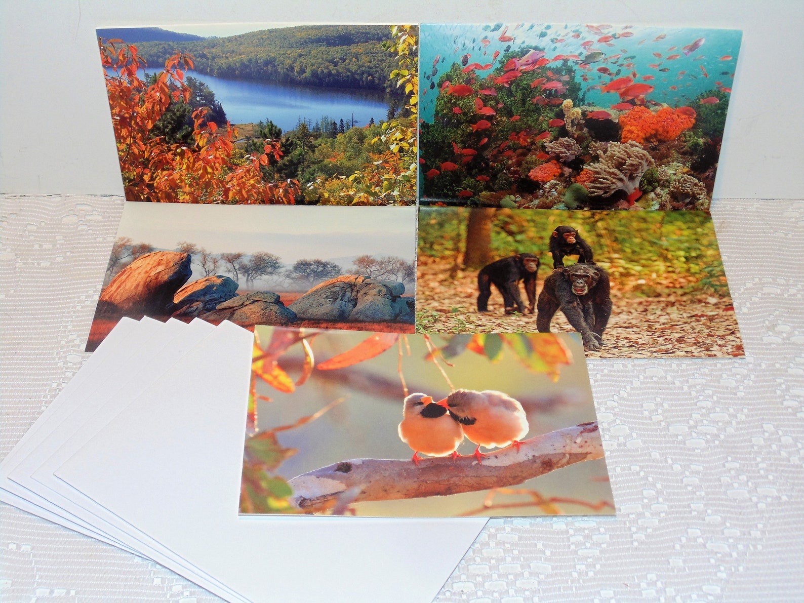 Vintage Blank Note Cards Nature Conservation Set of 5 With Etsy