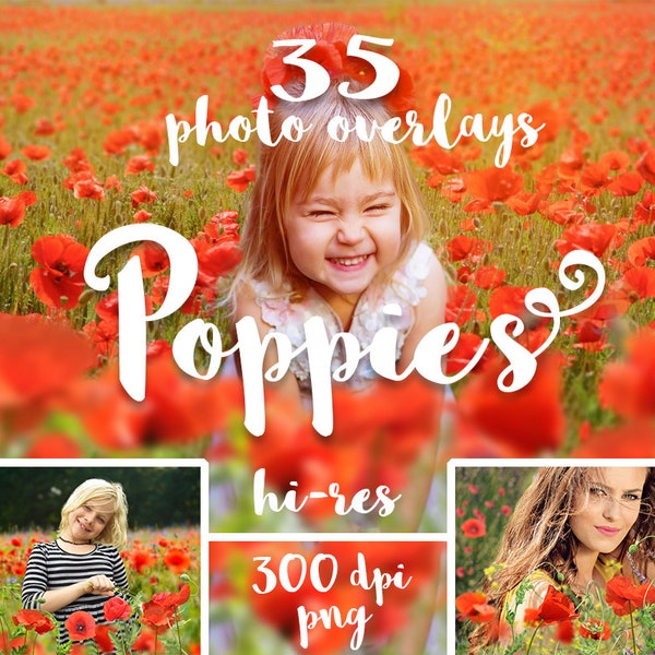 Poppies overlays Poppies photo overlay Poppy flowers overlays Spring flowers Photoshop red poppy overlay Spring flowers png files download