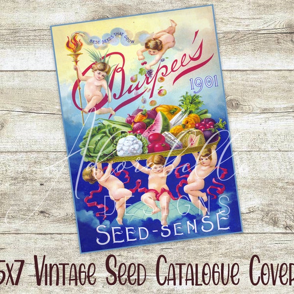 Seed Catalogue Cover DIY Digital Printable Burpees 1901 Print Transfer Cherubs Junk Journal Page Tiered Tray Wreath Country Farmhouse Decor