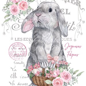 May include: A gray bunny rabbit holding a basket of pink and white flowers and eggs. The bunny is standing on a white background with text that reads "Le Petit Jardinier" and "Joyeuses Paques".