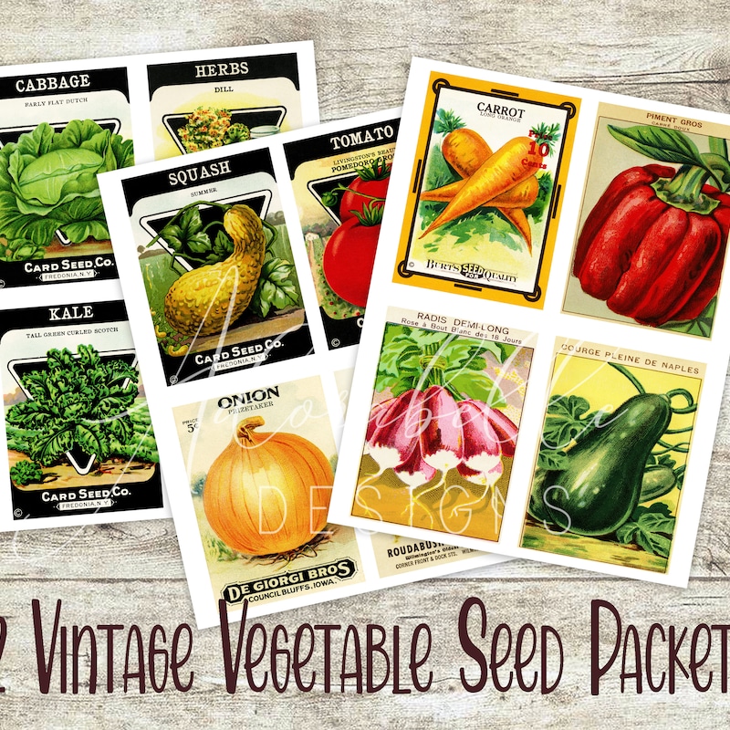 Seed Packet Template - Etsy