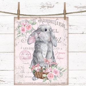 May include: A vintage-style illustration of a gray bunny rabbit holding a basket of pink Easter eggs. The bunny is surrounded by pink roses and green leaves. The image has a pink background with French text that reads "PETARDITIER EL LES EDIT QUES Jogenses Paques COMPTOIR ALIMENTAIRE & VINICOLE".