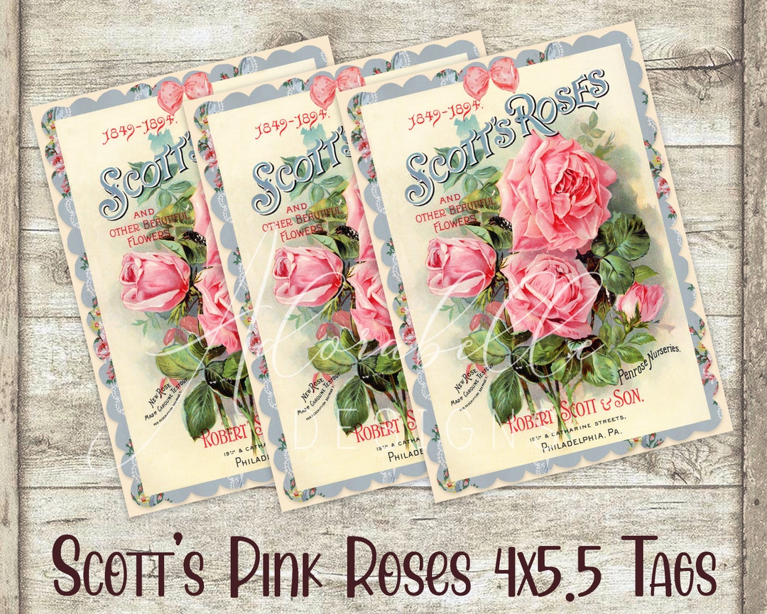 Seed Catalogue Cover DIY Digital Scotts Pink Roses Printable Garden ...