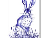 hare - original ink and watercolour illustration 9.5 x 6.25 inch