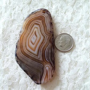 Brown And White Agate Pendant Slice/Large/Thick/Unique Design