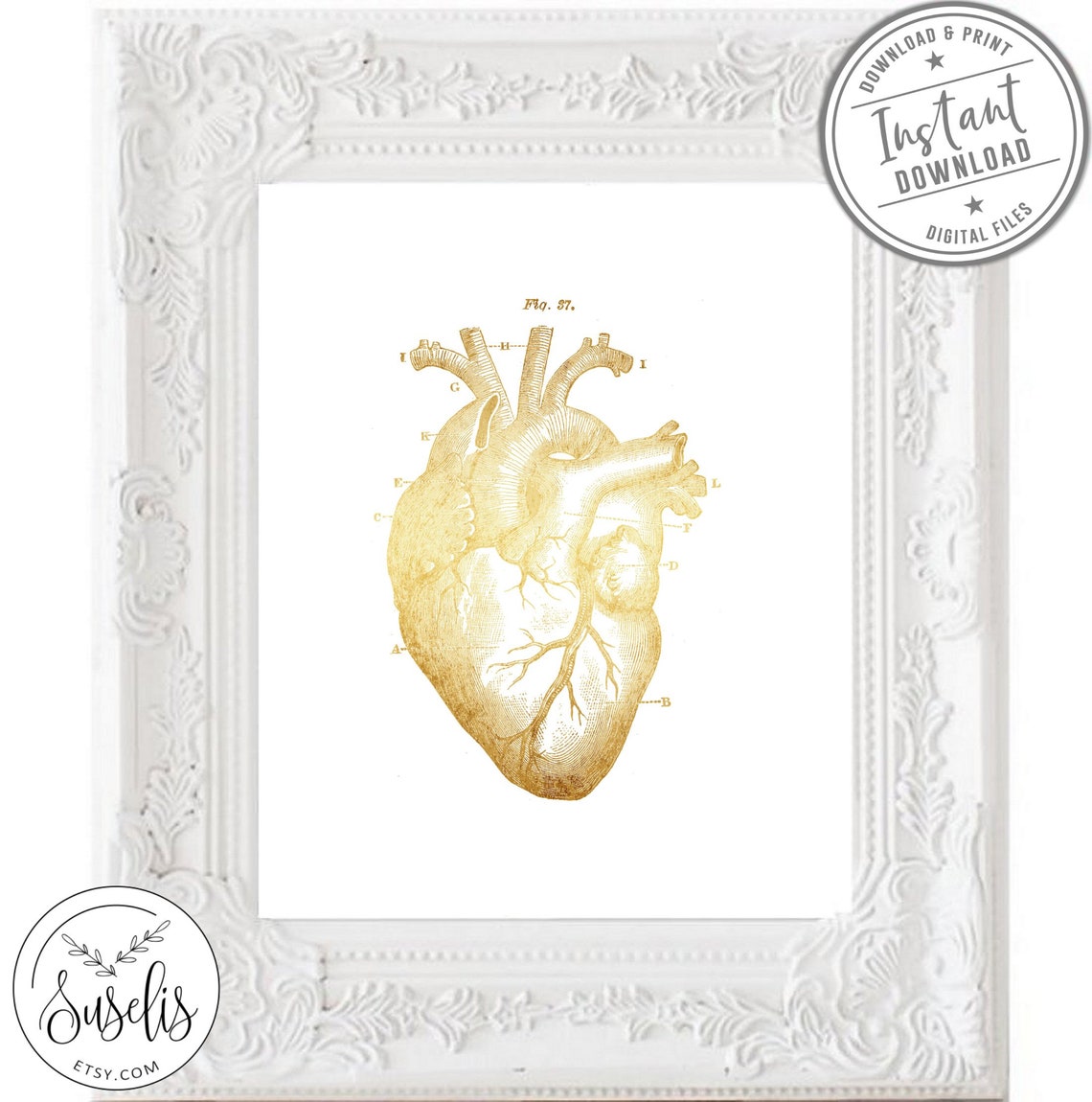 Printable Gold Heart Print Medical Sign Anatomical Human | Etsy