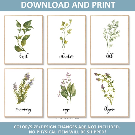 Printable Watercolor Herb Print Set of 6 Botanical | Etsy